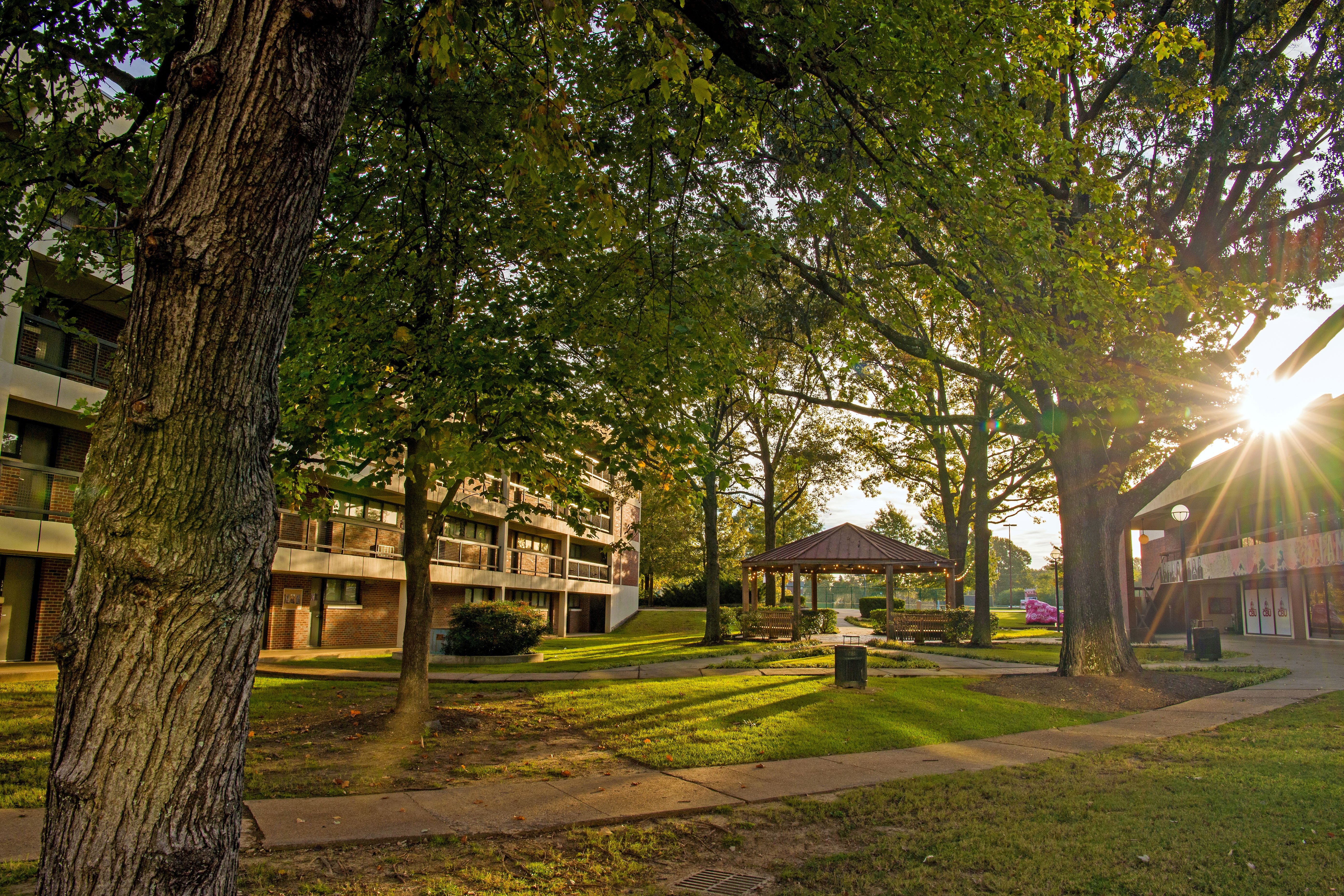 Graduate Individual Visit
